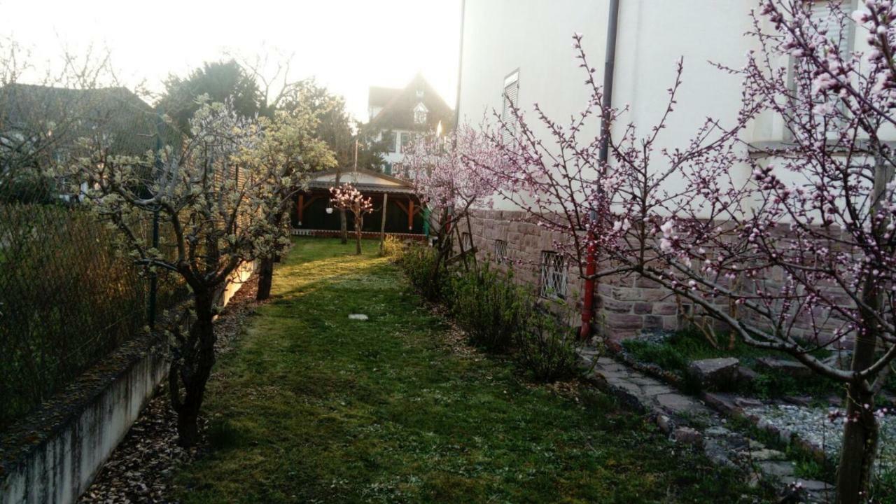 Gite "La Baloise" Colmar Ngoại thất bức ảnh